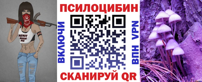гидра онион  Жуков  Псилоцибиновые грибы GOLDEN TEACHER  купить наркоту 